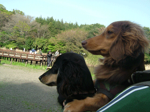 park03