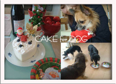 party-cake