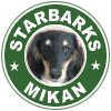 icon_mikan