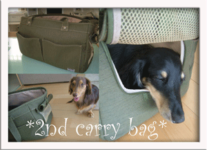 carry2