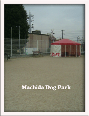machida_dogpark1