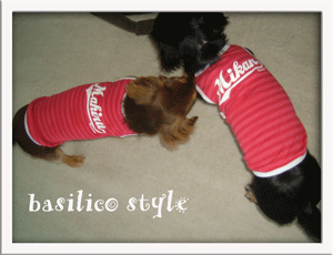 basilico_style2