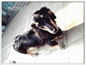 Xiaostyle4