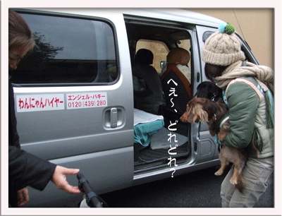 machida_dogpark_omake