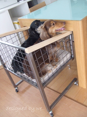 cart2