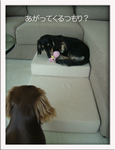 step2