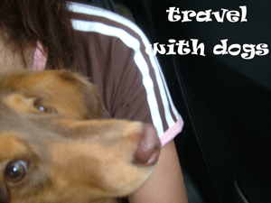 travel6