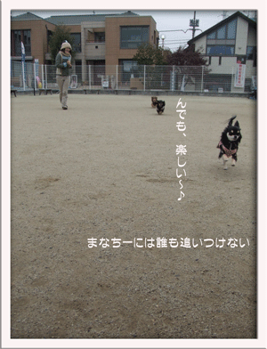 machida_dogpark2