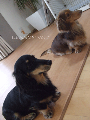lesson_vol1