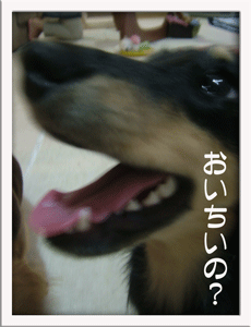 i_pod+mikan
