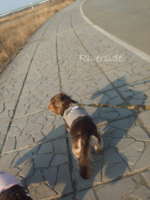 kasen_park3