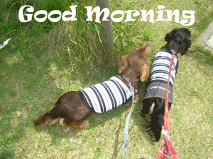 morning