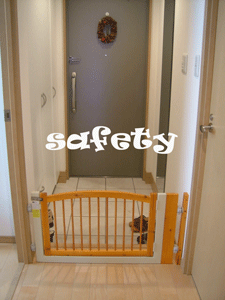 safety1