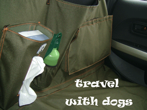 travel1