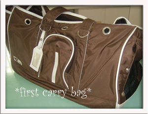 carry1
