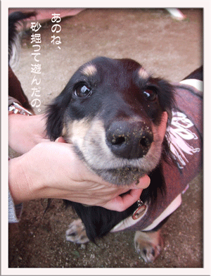 machida_dogpark5