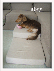 step1