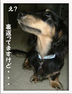 tag4