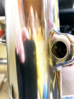 h31.3.12⑮巣が残ってた