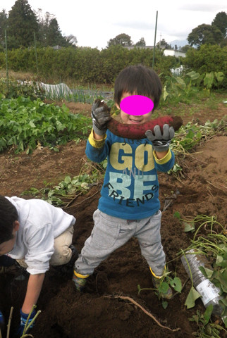 IMGP4401