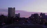 朝のセンター
