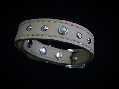 ORGDOG0805