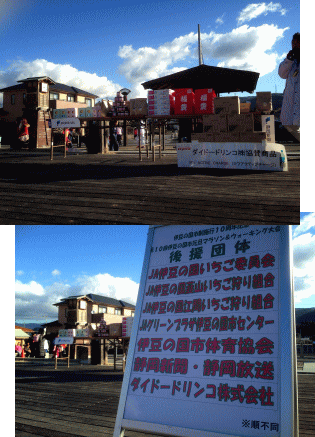 2015run1