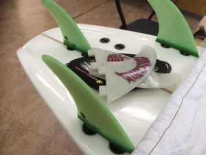raptfin