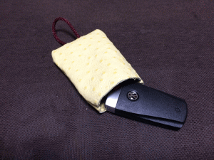 vwcase6