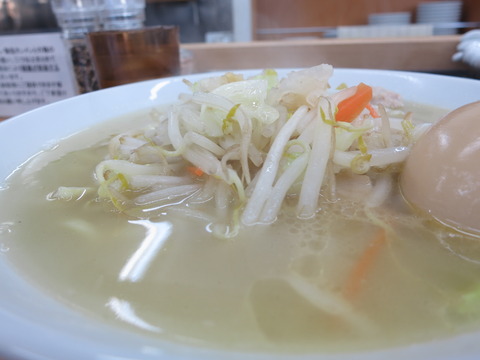 富白 004