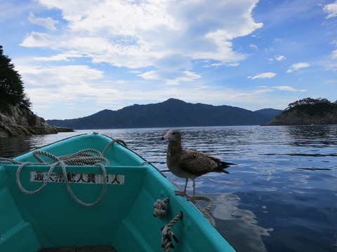 岩手旅行 093