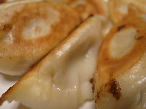 独一処餃子 (1)