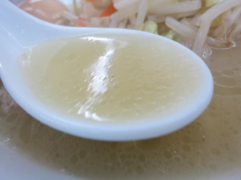 富白 006