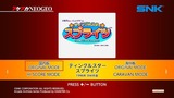 ティンクルスタースプライツ、やっと来ました!
