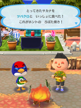 今日もどうぶつの森ばかりだったな…。
