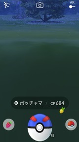 今日は大量に…。でも途中でバグるし…。(^^;)