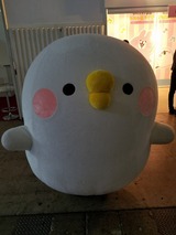 可愛かったので思わず写真を…。(^^;)
