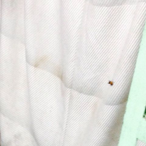 photo:01