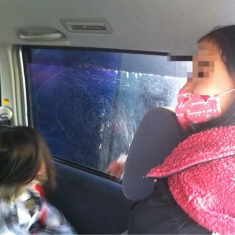 photo:02