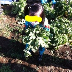 photo:06
