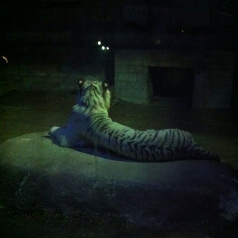 photo:06