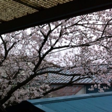 photo:03