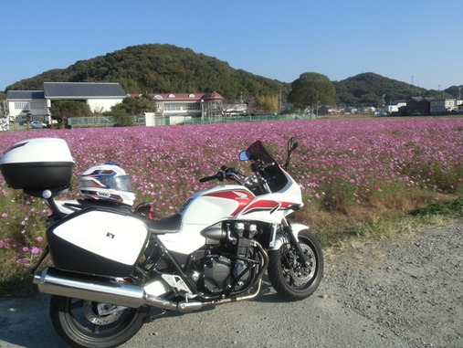 CIMG3663