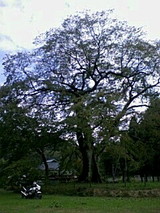 b55664e4.jpg