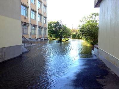 写真 2013-10-16 14 26 01