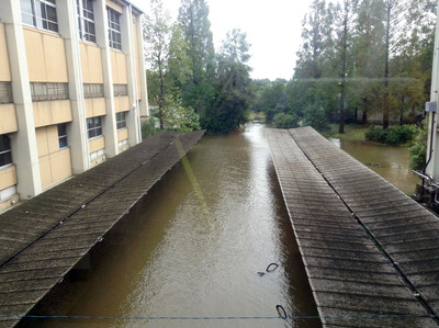 写真 2013-10-16 9 21 32