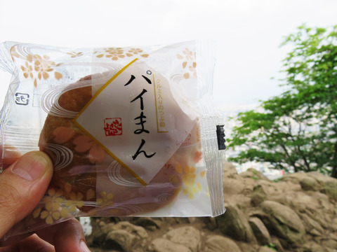 20150730ヤマ17