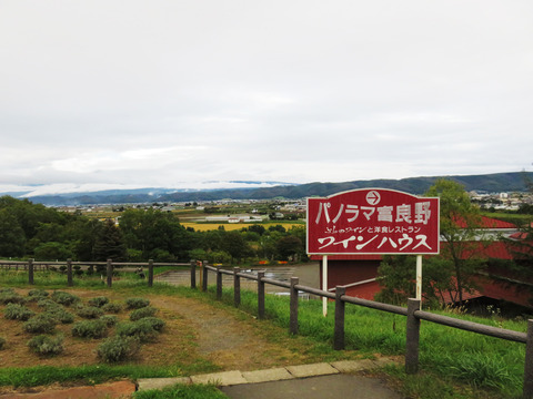 20150925ぶどうジューズ02
