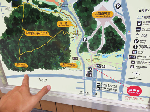 20150730ヤマ06