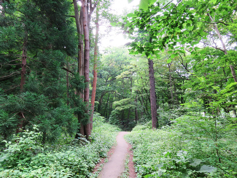 20150730ヤマ04